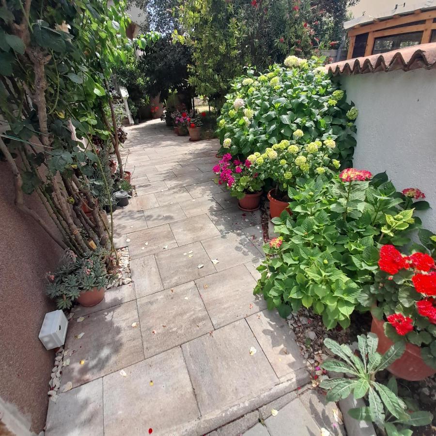 Apartments Filipovic Biograd Na Moru Exterior photo